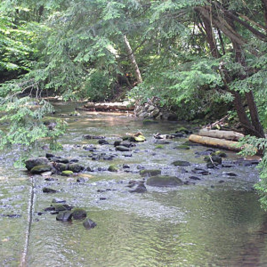 Log Vanes Upstream View