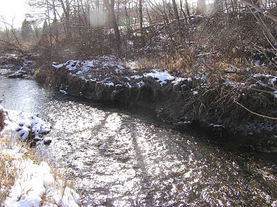 Mill Creek 6 Before