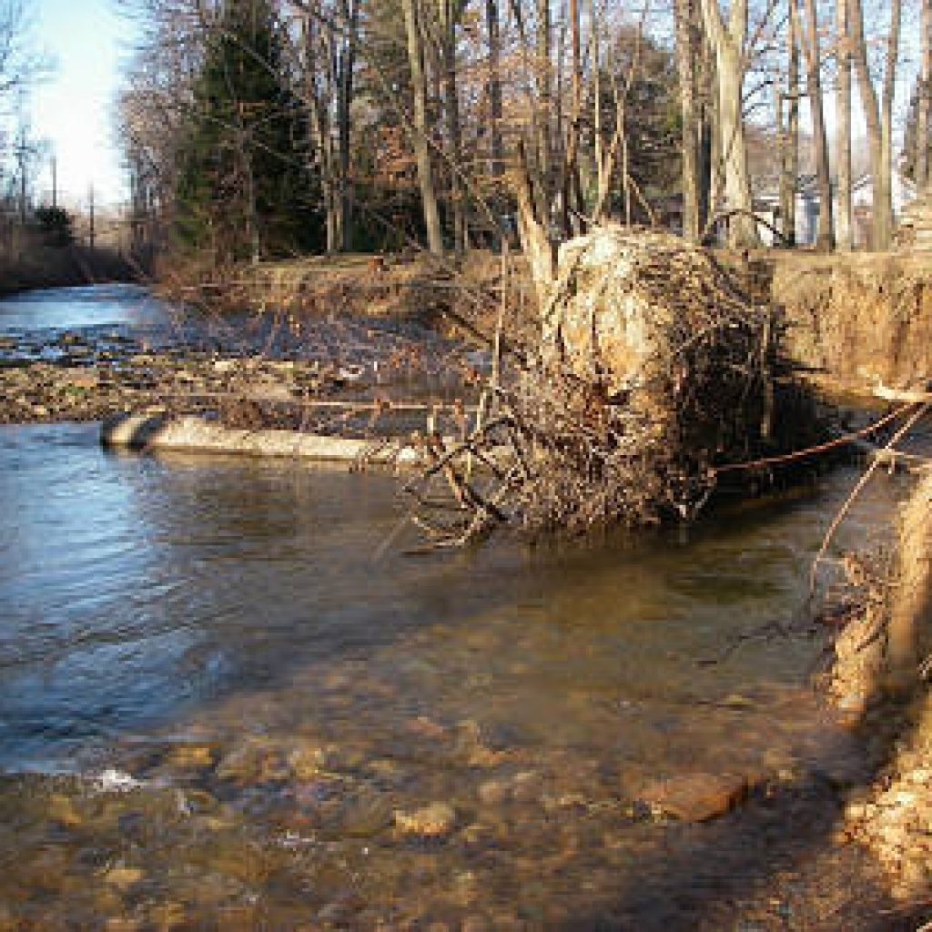 Mill Creek 7 Before
