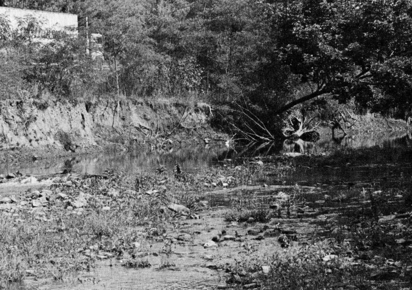 Aftermath of Hurricane Agnes