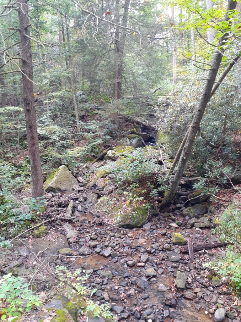 Rock Run September 2025