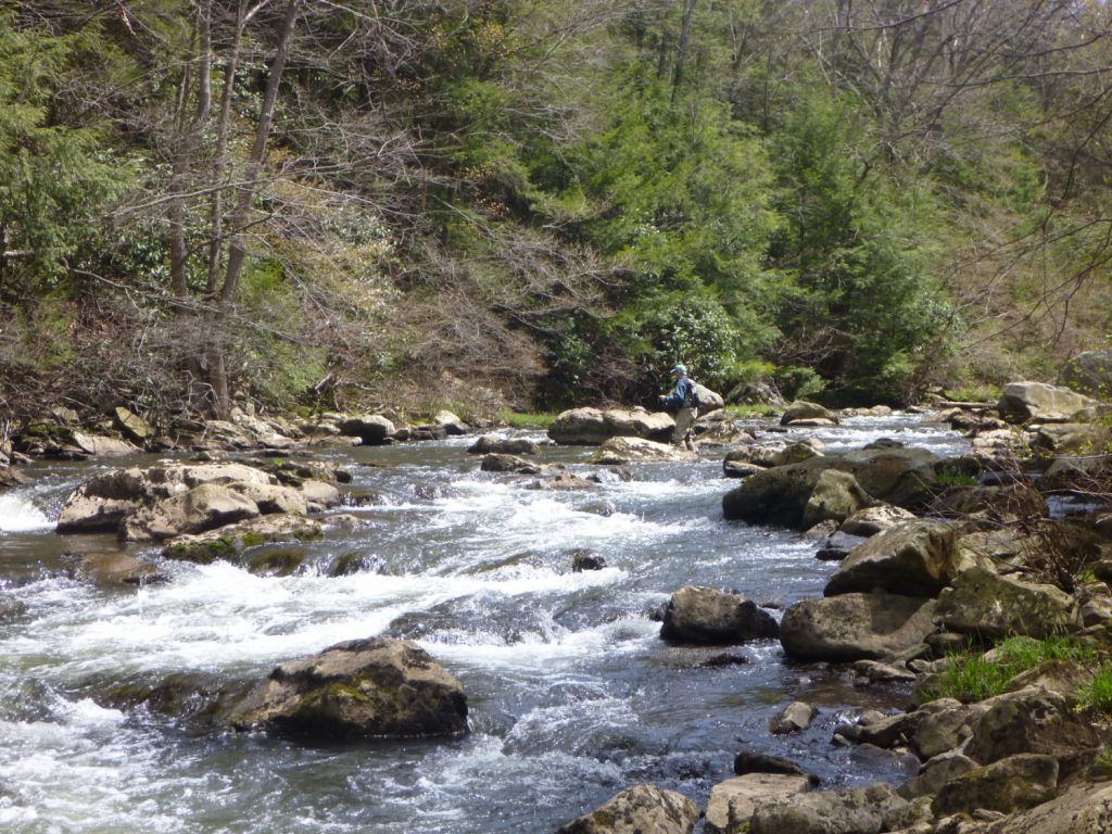 Stonycreek River