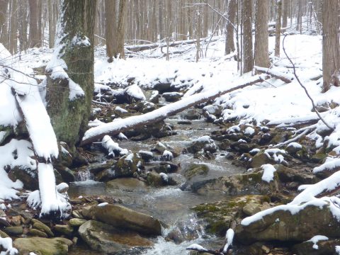 Grove Run In Winter