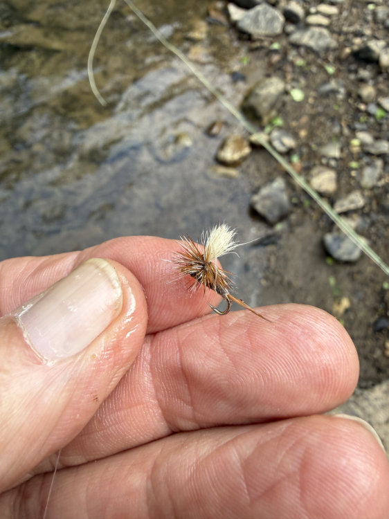 Adams Dry Fly