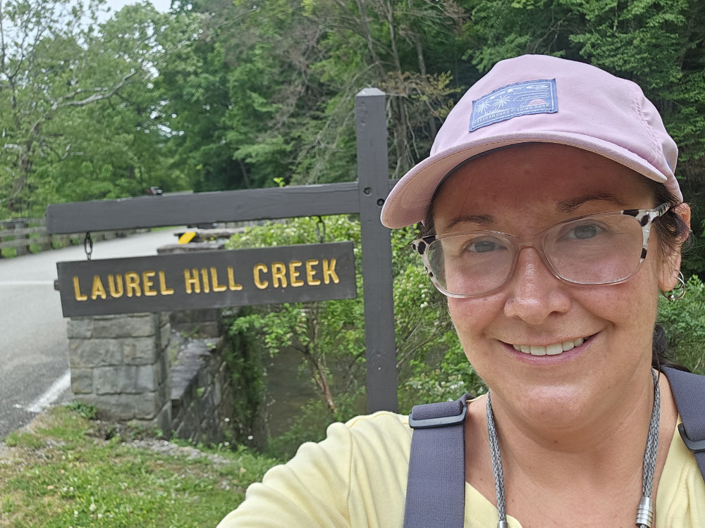 Allison Laurel Hill