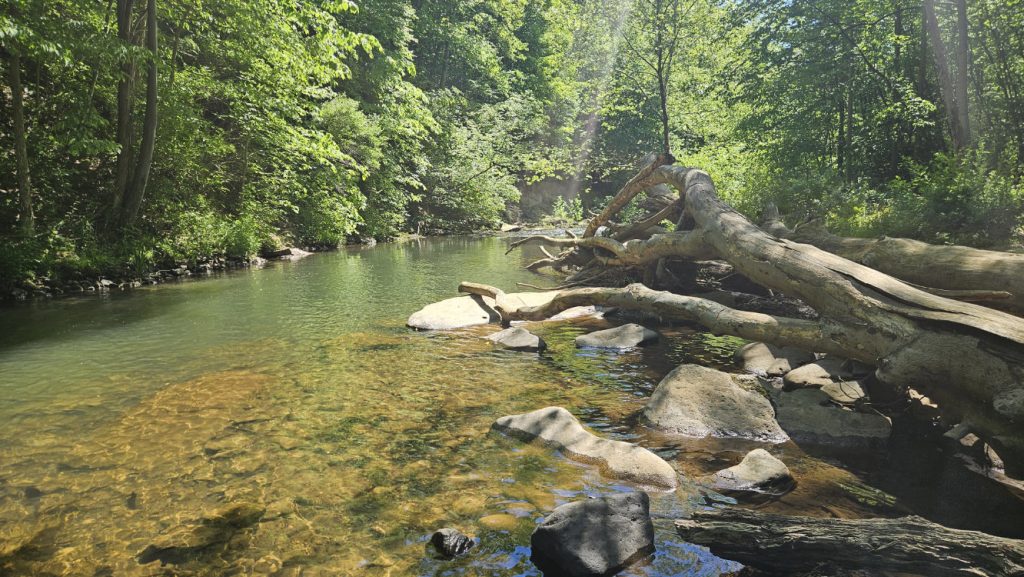 Yellow Creek
