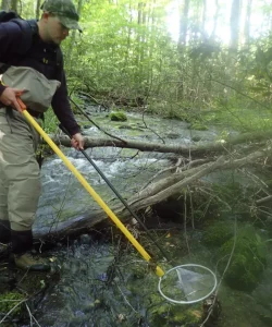 Electrofishing Survey